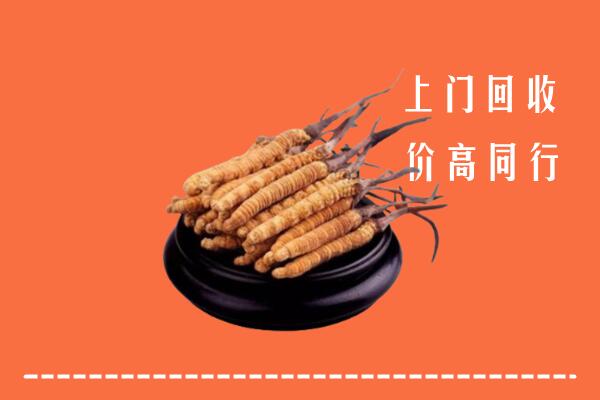 高价求购：揭阳市惠来县回收散虫草