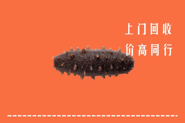 高价求购：揭阳市惠来县回收海参