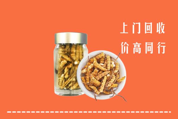 揭阳市惠来县回收冬虫夏草