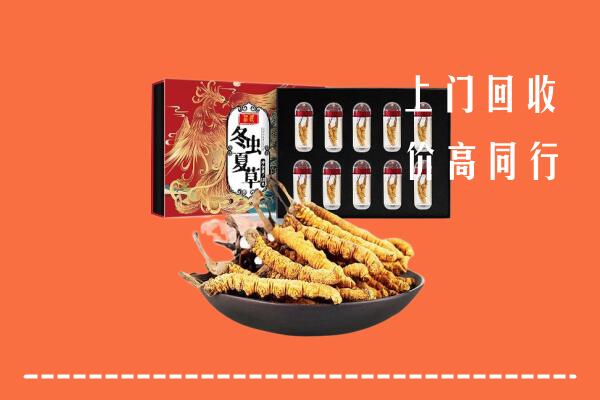 揭阳市惠来县回收虫草